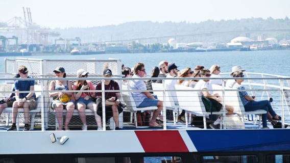 Seattle: Halbtägige Bootsfahrt zur Wildtier- und Walbeobachtung