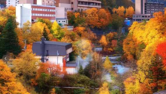 【北海道】支笏湖+定山溪+豐平峽大橋+中文包車飯店接送