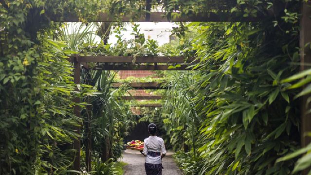 Body Mantra Wellness - โดย Ekosistem ในชางกู