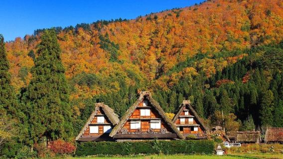 Group size: 1 guest|Shirakawa-go + Takayama|Two flights daily|Nagoya round-trip