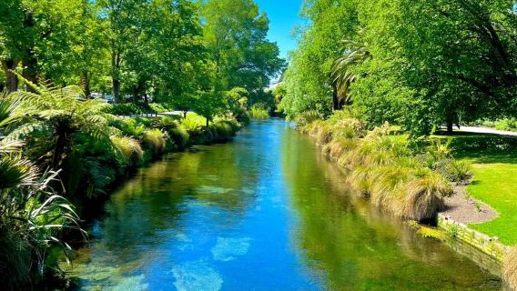 Voyage en groupe aller-retour à Christchurch : Découverte des paysages urbains et visite d'une ferme ovine, avec déjeuner et excursion d'une journée dans un domaine viticole inclus