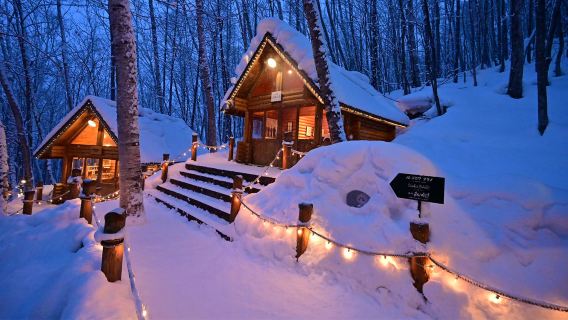 Hokkaido + zoo di Asahiyama + terrazza degli spiriti della foresta + Stagno Blu tour di un giorno|Viaggio fiabesco