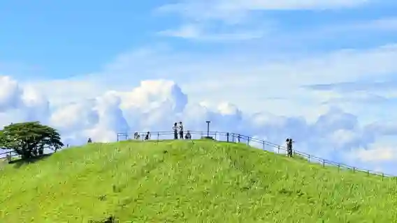 日本+伊豆+大室山一日遊【城崎海岸觀海列車含電車票9人小團】