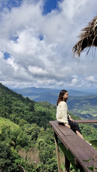 Chiang Mai: Heavenly Heights of Mon Jam & Cozy Sips at Elephant Café Half-Day Tour