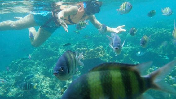 Langkawi Snorkeling & Beach Swimming Private Boat estimated 2 hours