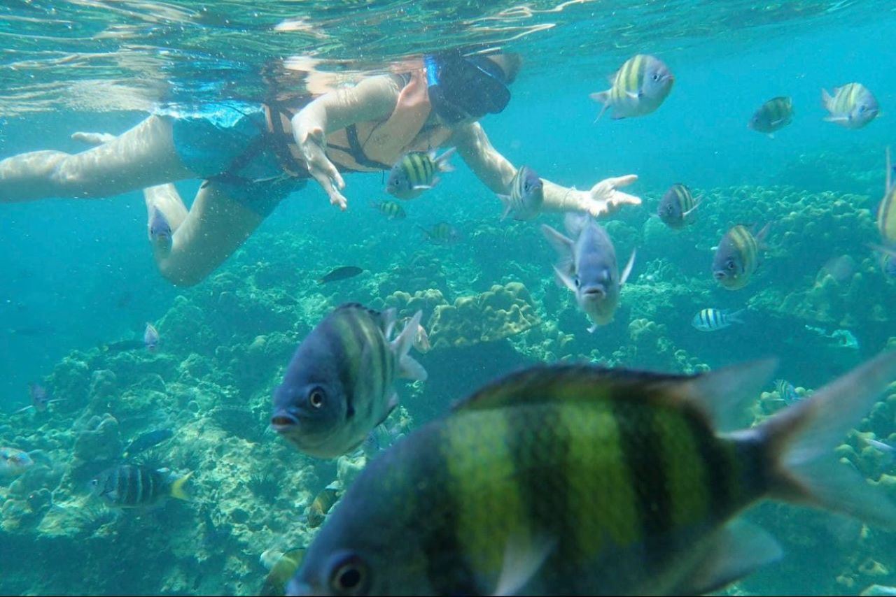 Langkawi Snorkeling & Beach Swimming Private Boat estimated 2 hours