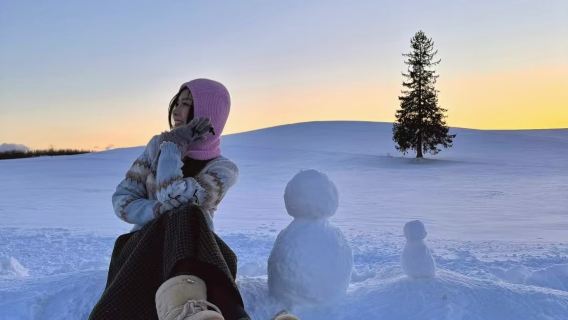 Tagesausflug mit Privattransfer nach Sapporo, Biei und das Weihnachtsbaumdorf