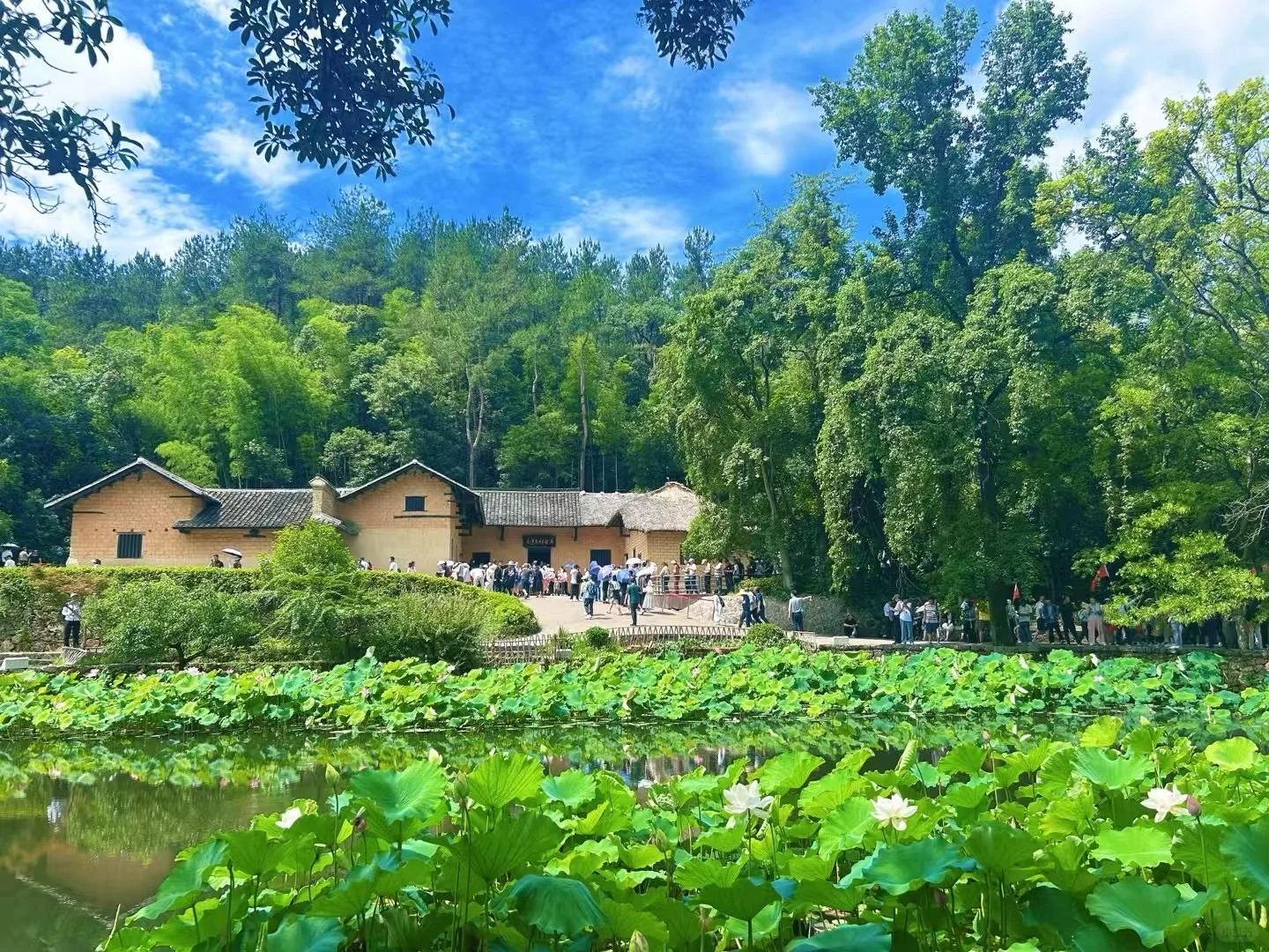 All-inclusive 1-day tour to Mao Zedong's Former Residence + Liu Shaoqi's Former Residence + Memorial Hall ◆ No shopping