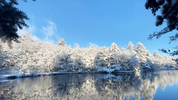 Karuizawa Day Trip | Shiraito Falls, Kumoba Pond, and Karuizawa Ginza Outlet Shopping