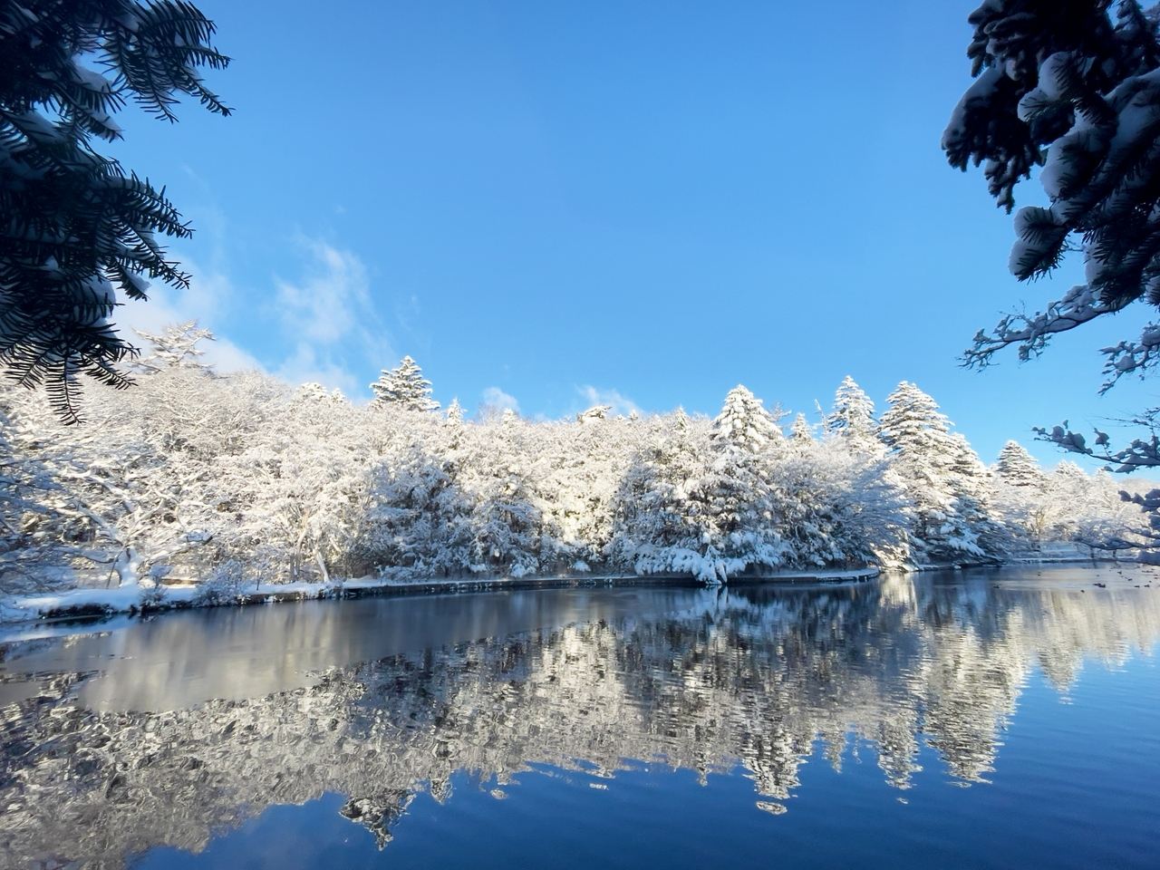 輕井澤一日遊｜白系瀑布 雲場池 輕井澤銀座通Outlet購物