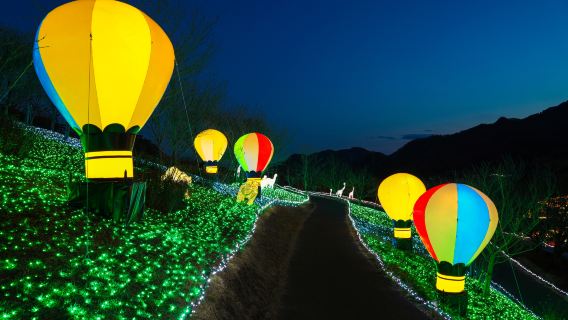 [한국어 가이드 • ★1명도 무조건 도쿄 출발★] 후지산 인기 명소 & 사가미호 모리모리 일루미네이션 당일 투어 (겨울 한정)