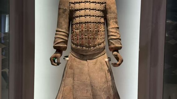 Terracotta Warriors admission ticket + guide with optional Chinese/English guided tour/small group service/including Lishan Garden