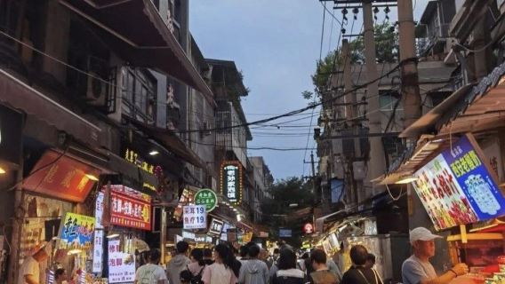 Tour di un giorno a Xi'an con noleggio con conducente esclusivo: Museo di Xi'an, Via dei Musulmani e Monte Zhongnan, servizio in inglese disponibile