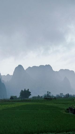 1-day tour of Yingxi Peak Forest Corridor and Dongtian Xianjing from Guangzhou with round-trip transfers and bilingual service (admission ticket not included)