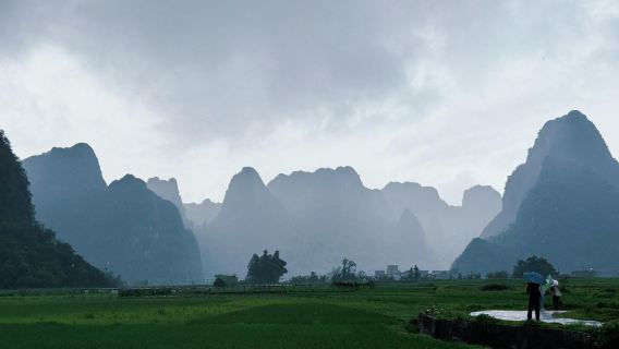 Guangzhou round-trip 1-day tour to Qingyuan Yingxi Peak Forest Corridor, Dongtian Xianjing, and Fenglin Town with English service available