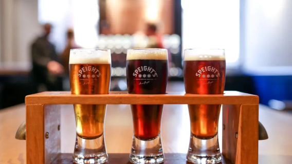 【南半球的愛丁堡】新西蘭但尼丁一日遊（藍色企鵝+百年啤酒廠）