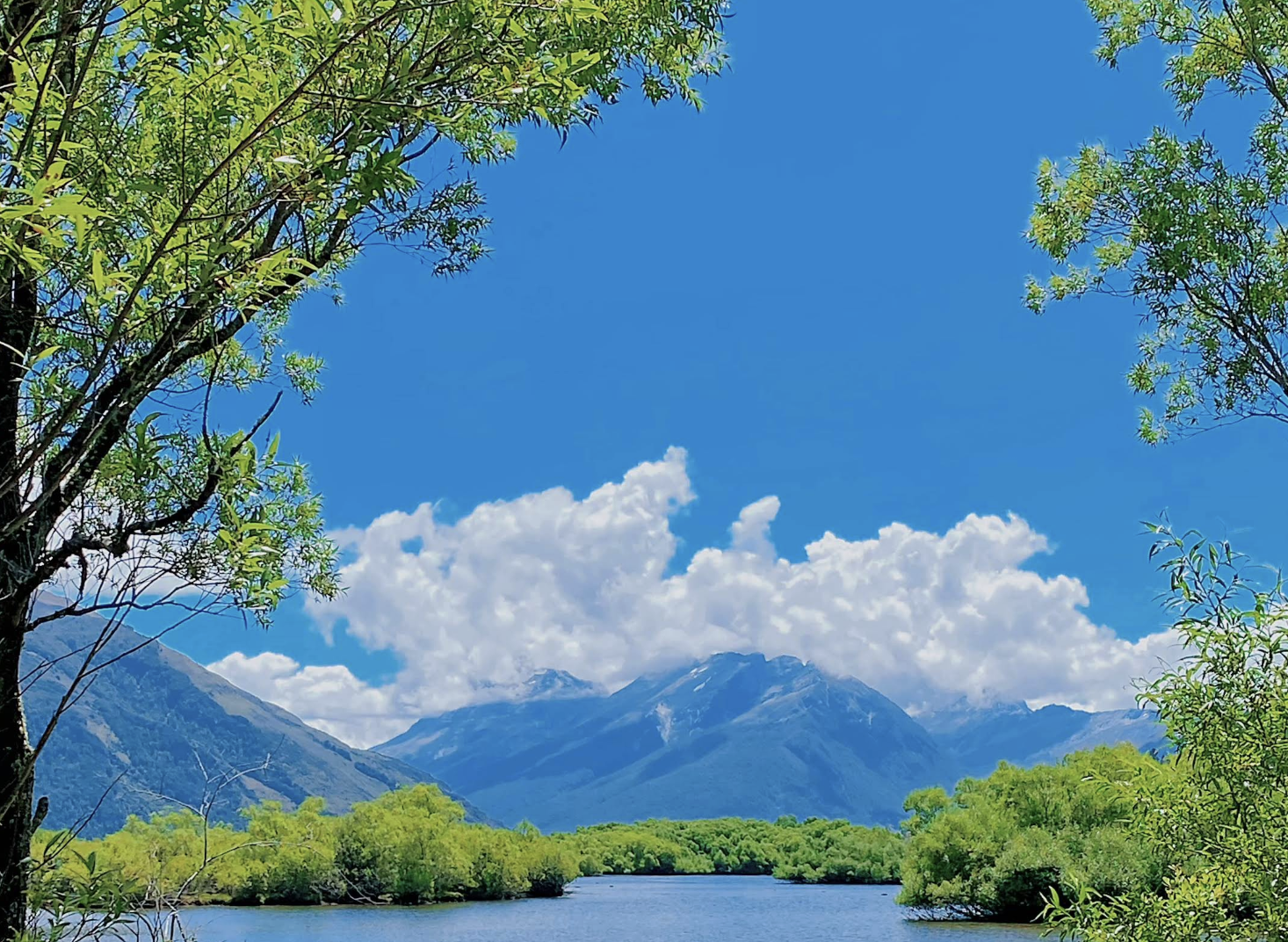 紐西蘭皇后鎮-米爾福德峽灣+蒂阿瑙【中文專車-愜意舒適】