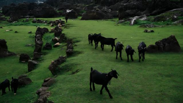 Perkhidmatan Jemputan di Anshun|pemandu pelancong trekking profesional|Check-in di Mata Dewa, Lembah Tonggu, dan Batu Lembu