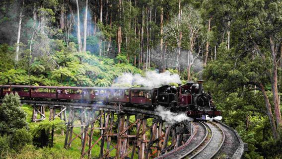墨爾本來回布萊頓海灘+普芬比利蒸汽火車+Penguin Parade一日遊