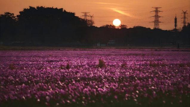 中山包車|打卡孫中山故居+詹園+中山影視城+崖口村一日遊