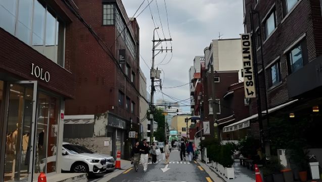 Seoul Local Guide & Walking Tours & Translation Services [Idol Makeup Rooms/Michelin Restaurants] Booking/Reservations