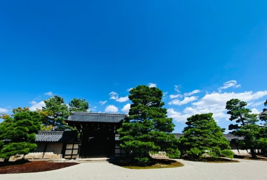 金閣寺-嵐山小火車-竹林小徑-天龍寺-渡月橋-行程可調
