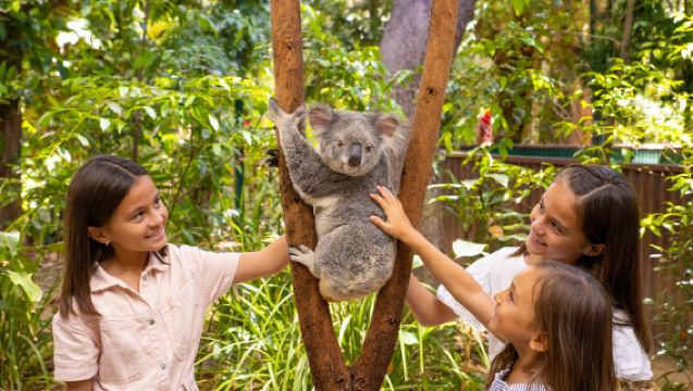 Lawatan sehari dalam bahasa Cina ke Gold Coast Currumbin Zoo + pilihan [Byron Bay, New South Wales // Cape Danger]