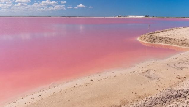 Mexico: Lawatan Disesuaikan di Bandar Cancun & Sekitarnya | Lawatan Sehari ke Tasik Pink | Boleh Disesuaikan※
