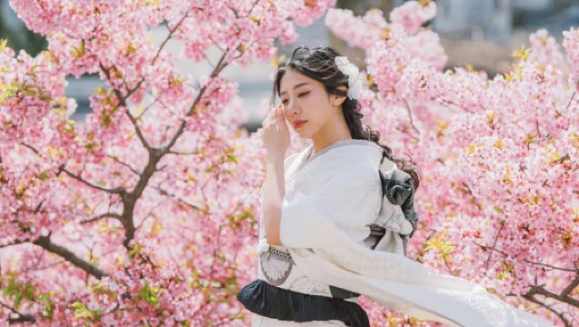 Experiência de Quimono em Tóquio com Sessão Fotográfica no Templo Sensoji | Reserva de Fotografia de Viagem com Serviço em Chinês e Múltiplos Conjuntos Disponíveis