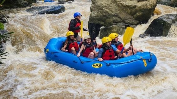 Puerto Plata to Jarabacoa: Class II-III White Water Rafting Expedition