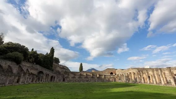 Excursión de un día a la antigua ciudad de Pompeya y sus ruinas (incluye servicio de traslado desde Roma)