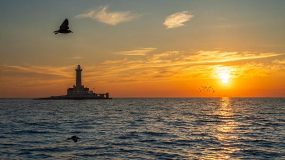 Medulin: Dolphin Sunset Tour 85% chance with Drinks + Dinner
