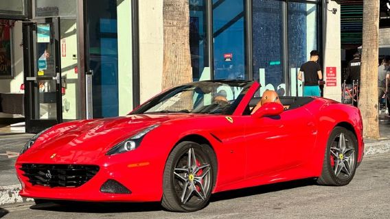 Tour de 20 minutos: de Hollywood Blvd a Sunset Blvd en un Ferrari