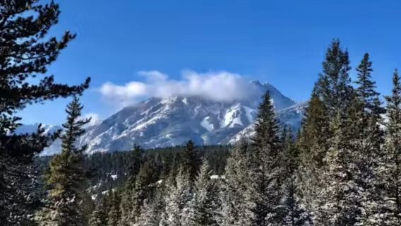 Calgary - Taman Wilayah Dinosaur + Drumheller - Sewaan Peribadi Bahasa Cina & perjalanan boleh dilaras