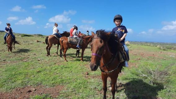Aruba: Ecological Trail & Beach Horsebackriding