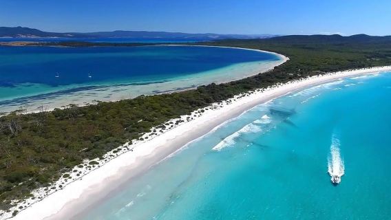 From Triabunna: Maria Island Cruise & Guided Walk with Lunch