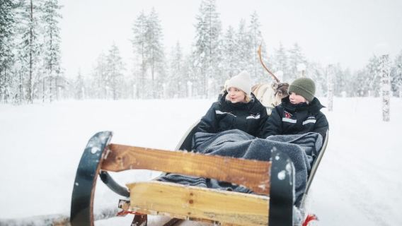 Rovaniemi: 2km Reindeer Sled Ride Through the Forest