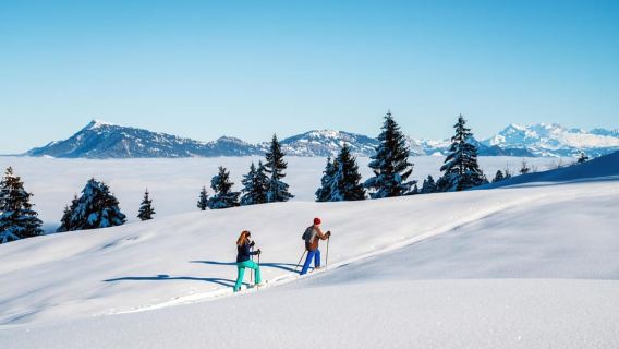 Kriens: Mt. Pilatus by Panoramic Gondola and Aerial Cableway