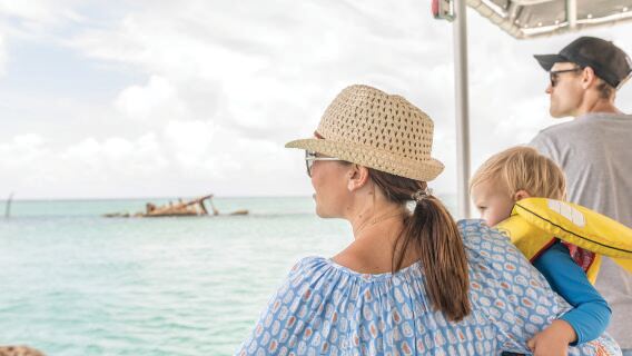 Official self-operated Tangalooma Island marine exploration and dolphin experience