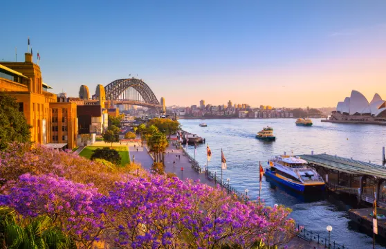 悉尼豪華觀光遊船Journey Beyond Cruise(可選午餐/晚餐)