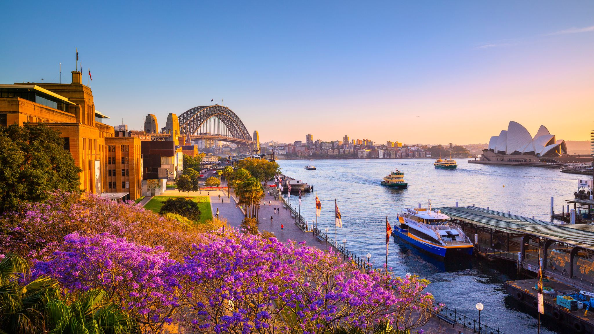 Sydney Luxury Sightseeing Cruise Journey Beyond Cruise (Optional Lunch/Dinner)