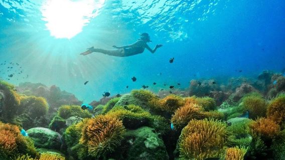 Perjalanan Snorkeling Kumpulan Kecil dengan Bot Laju Untuk Menemui Terumbu Karang Phu Quoc