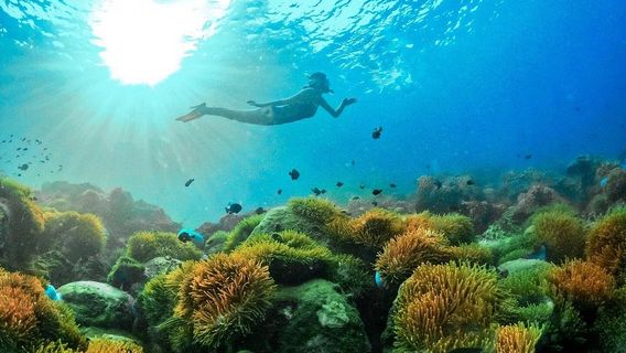 Đảo Phú QuốcTour Trong Ngày