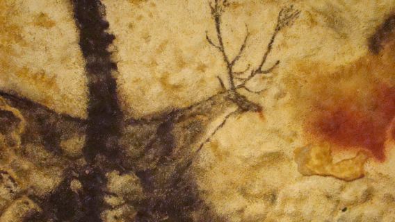 Bordeaux to Lascaux, private sightseeing tour to visit caves in Dordogne