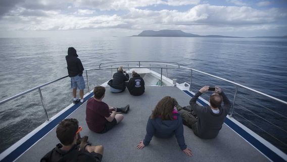 SwanseaTours