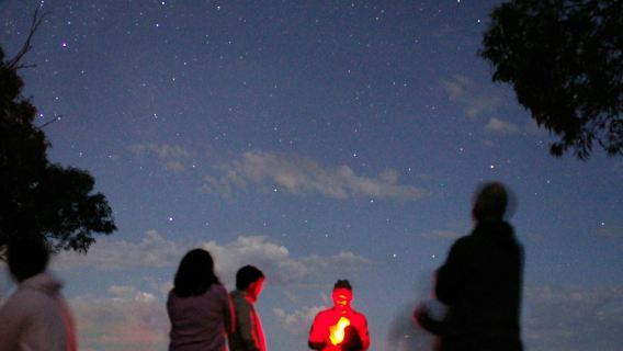Excursión de observación de estrellas en las Montañas Azules