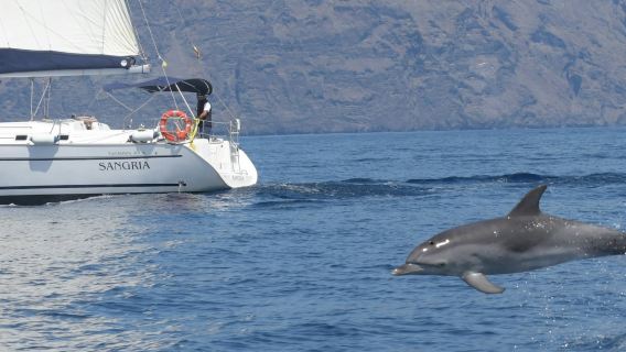 Tenerife : Excursion en voilier de 3 heures à Los Gigantes avec plongée en apnée, boisson et tapas