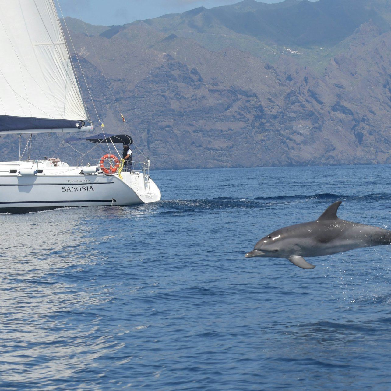 Tenerife: excursión en velero de 3 horas a Los Gigantes con snorkel, bebida y tapas