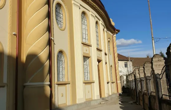 拉迪亞錫安新猶太會堂及猶太歷史博物館成人