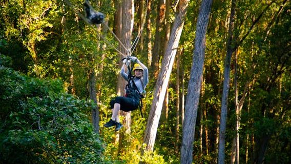 The Big Island (Hawaii island)Experiences